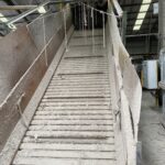 O.Kay Baler Feed Conveyor Type CCOP066