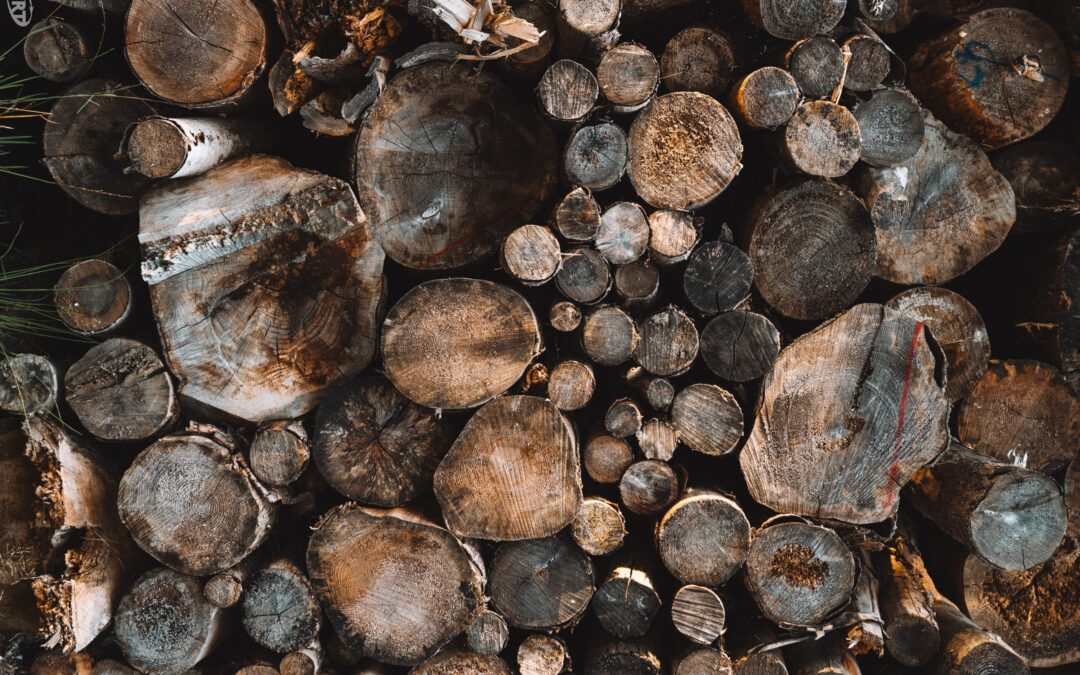 5 Reasons To Recycle Wood